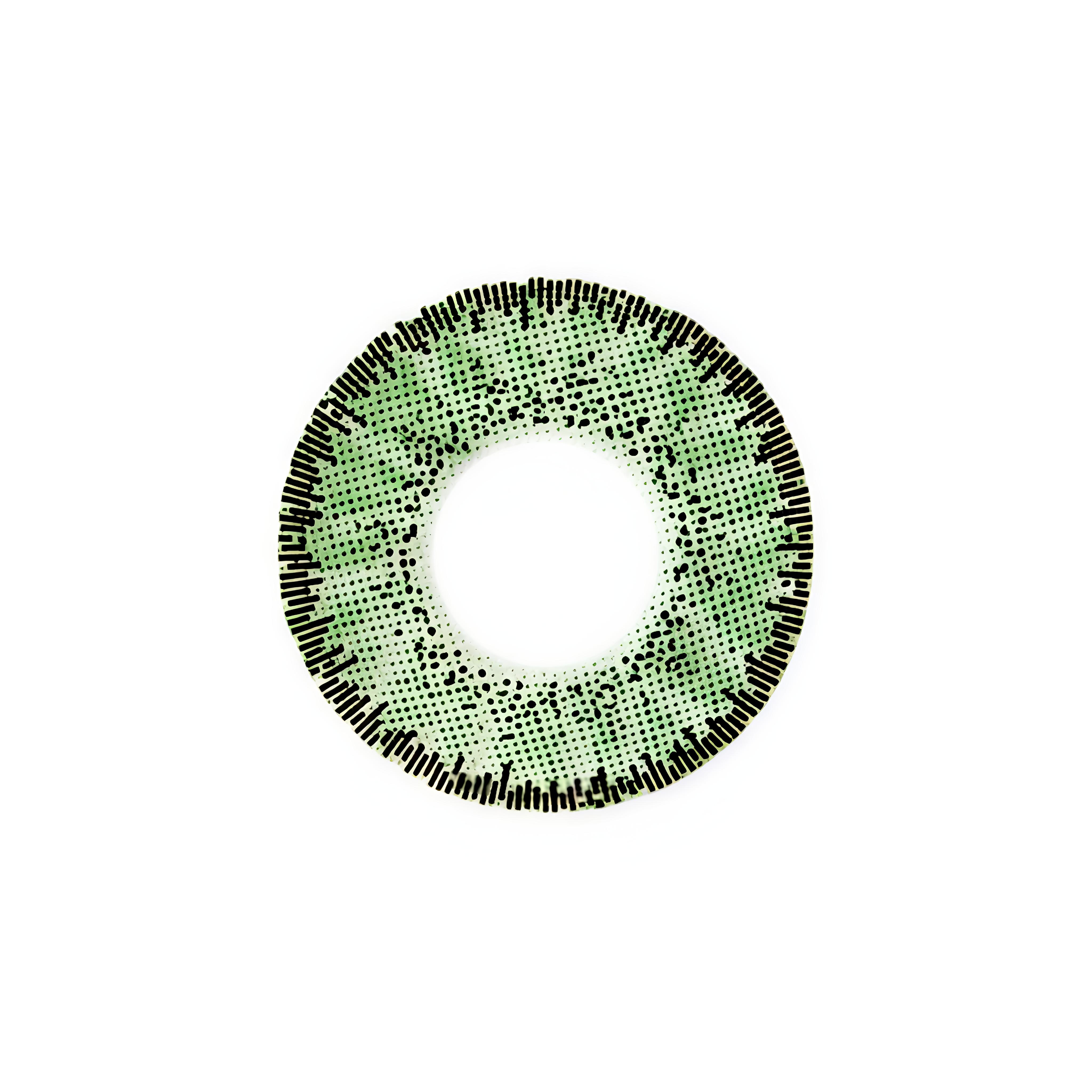 Baush+Lomb (Dark Green) Lacelle Natural look